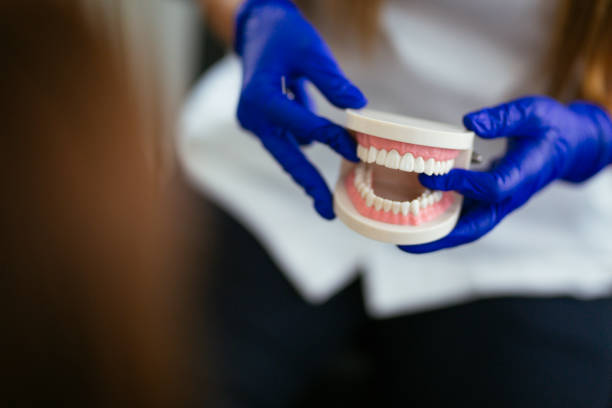 Emergency Dental Services in Safety Harbor, FL