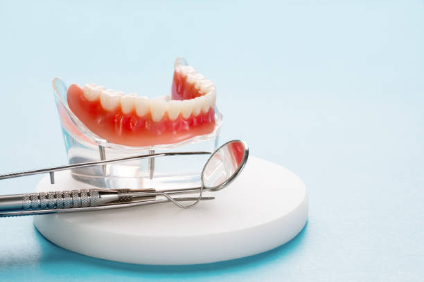 Best Invisalign and Clear Aligners  in Safety Harbor, FL