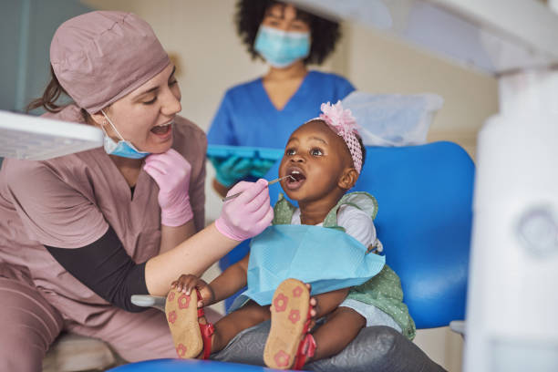 Best General Dentistry  in Safety Harbor, FL